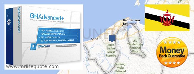 Où Acheter Growth Hormone en ligne Brunei